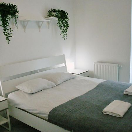 Апартаменты Apartament Tricolore Торунь Экстерьер фото