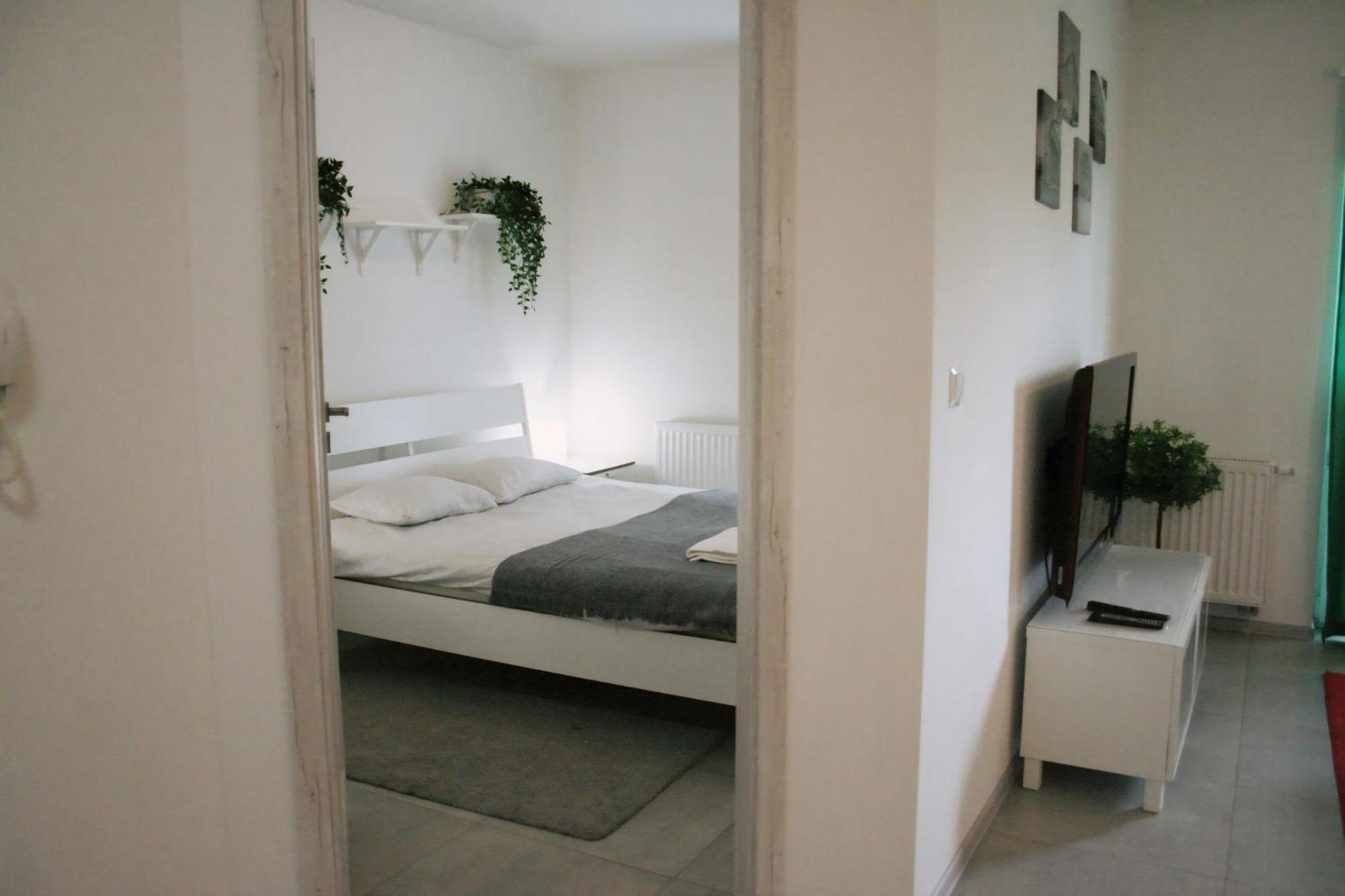 Апартаменты Apartament Tricolore Торунь Экстерьер фото